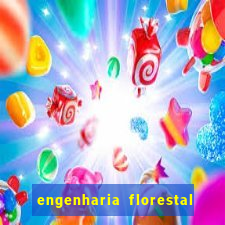 engenharia florestal ead cruzeiro do sul